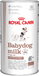 RC Babydog Milk щен от 0до5нед