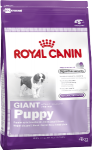 RC Giant Puppy 34 щен гиг п до 8мес