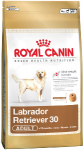 RC Labrador Retriever 30