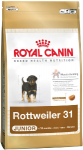 RC Rottweiler Junior31