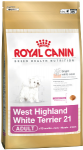 RC West Highland White Terrier 21