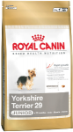 RC Yorkshire Terrier Junior29